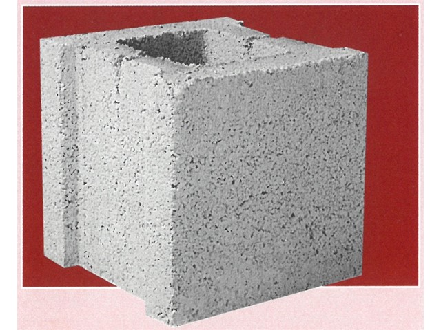 Bloque columna 20 x 20